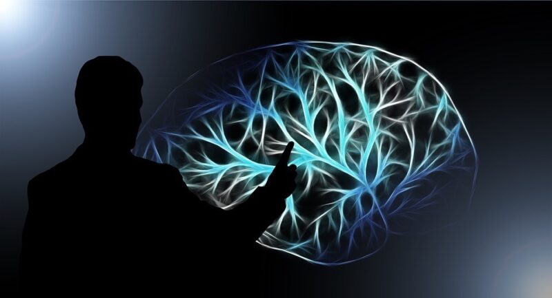 imagem de neuroplasticidafe cerebral e aprendizado