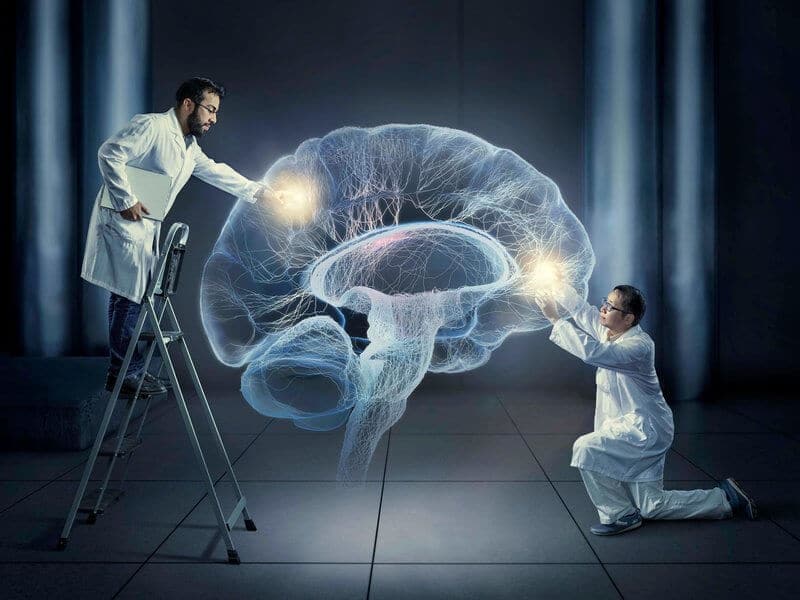 cientistas trabalhando com holograma de um cérebro